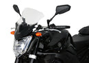 Yamaha FZ1 [2006-]-Racing Disc "NRM"-8