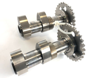 Aprilia Mille RSV 1000 ME [1999] - Camshafts Set Front Cylinder - 0