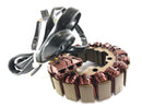 Aprilia RSV 1000 RR Factory [2009] - Stator -generator-4
