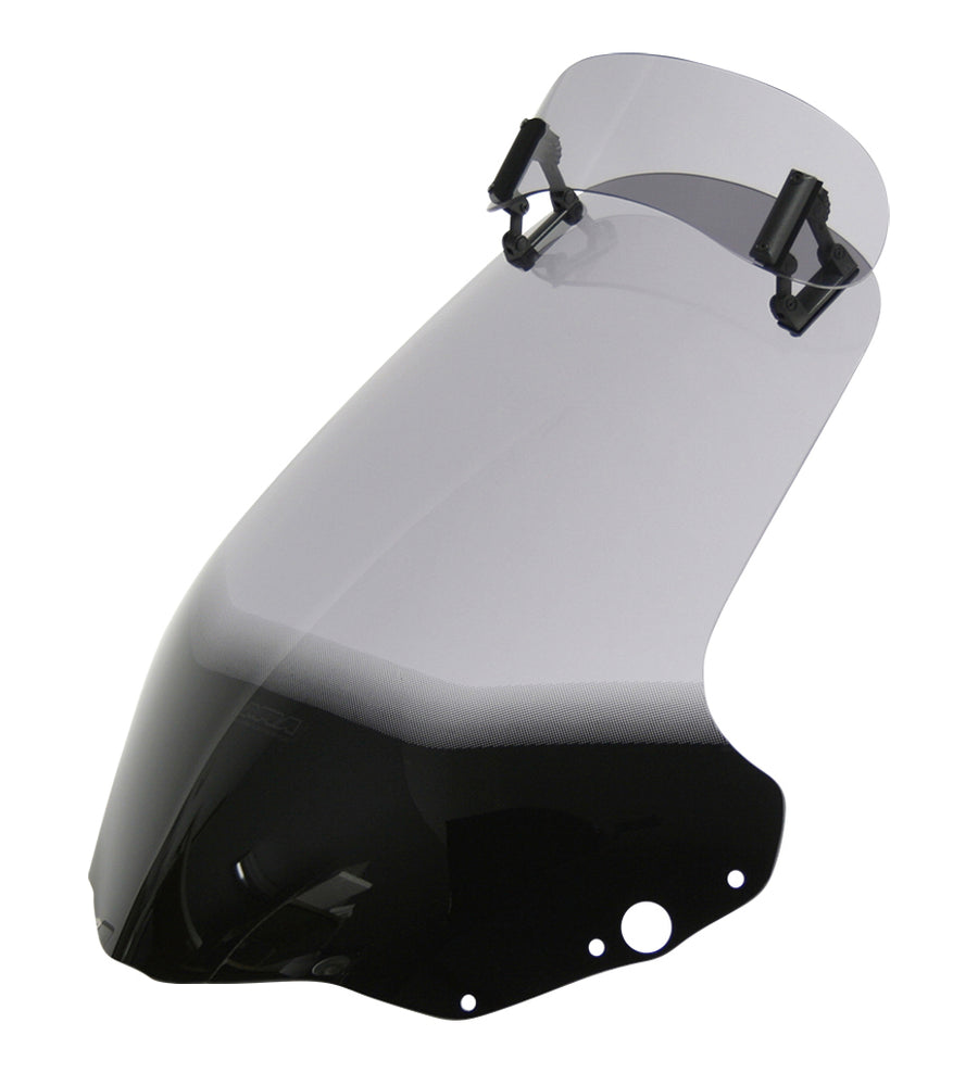 Honda NSS 250 Forza [2004-2006] -AriotouringsScreen "VTM"