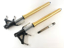 Triumph Speed ​​Triple 1050 515NJ [2006] - Fork Telegabel med Axis-1