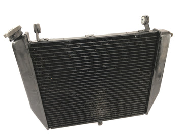 Yamaha YZF R1 RN09 [2002] - Radiator Vannkjøler Kjølesystem Radiator