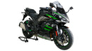 Kawasaki Ninja 1000 SX [2020-]-Racing Disc "R"-4