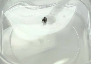 Rolex 17014 17013 - kaliber 5035 - 6004 Planteskrueskruearbeid