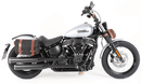 Harley-Davidson Softail Standard [2020-2025] -C-BOW Side Carrier-1