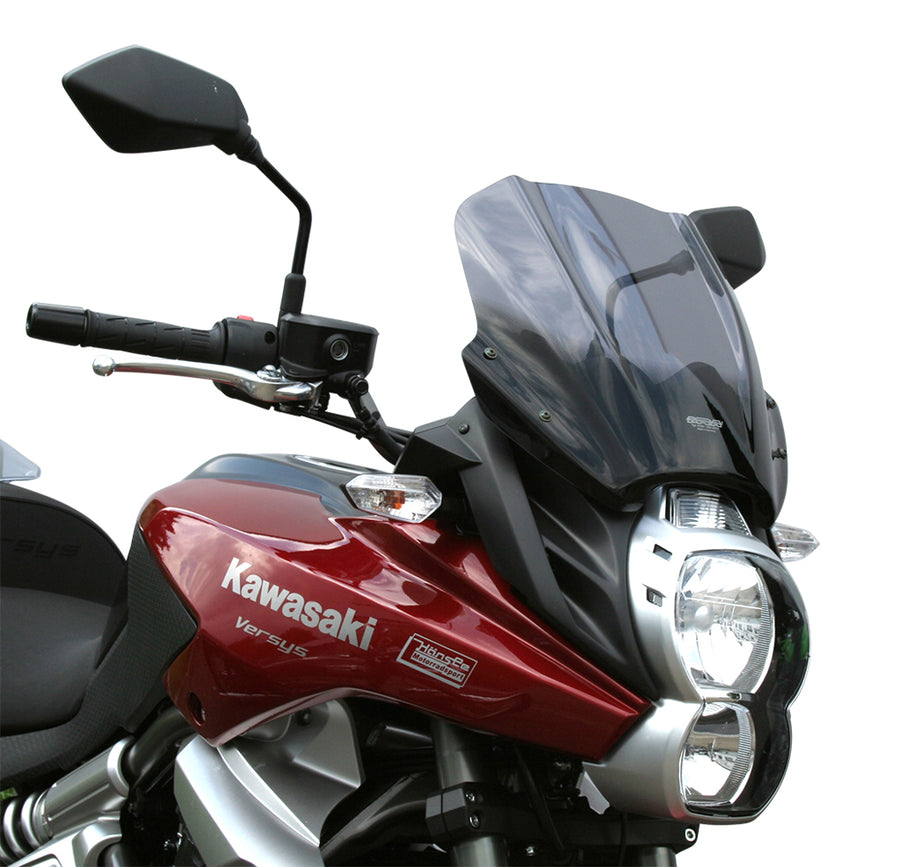 Kawasaki Versys 650 [2010-2014] -Turing Disc "TM"