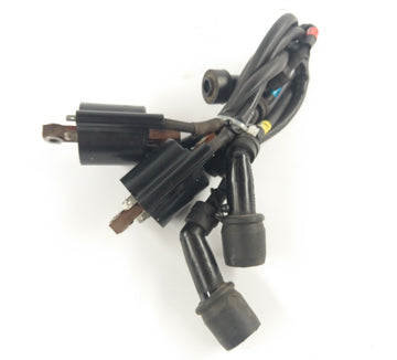 Yamaha XJR 1300 RP10 (2006) - Ignition Coil med tenningskabelsett - 0