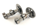 Aprilia Mille RSV 1000 ME [1999] - Camshafts Set Front Cylinder-1