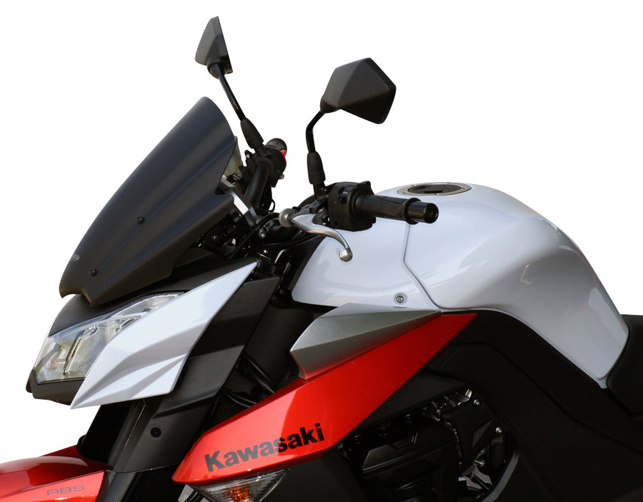 Kawasaki Z 1000 [2010-2013] -Racing Disc "RN"