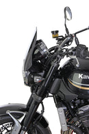 Kawasaki Z 900 RS [2018-]-Sportsskive "NSP"-5