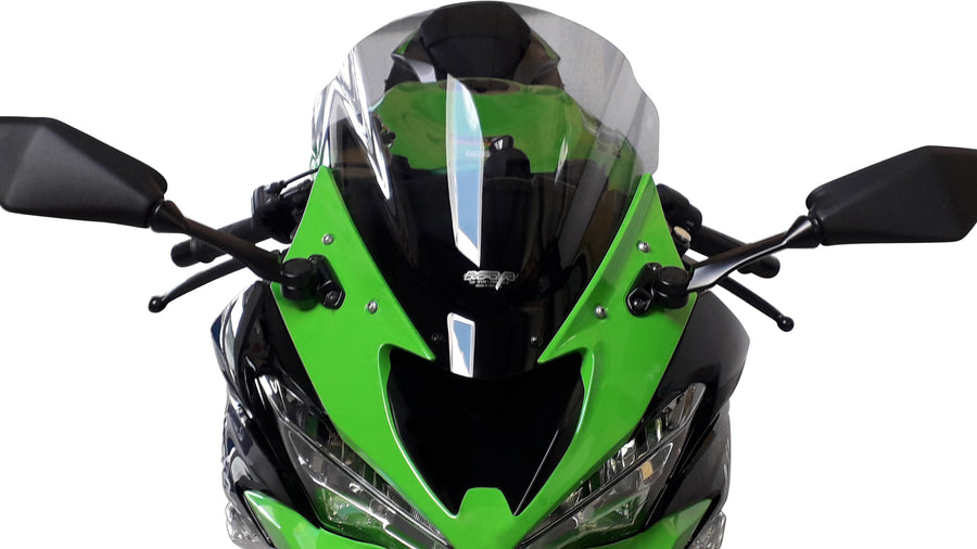 Kawasaki Ninja ZX 6 R [2019-2023] -Racing Disc "R"