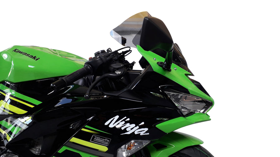 Kawasaki Ninja ZX 6 R [2019-2023] -Racing Disc "R"
