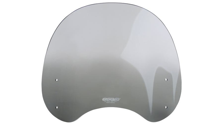 Kawasaki Z 650 RS [2022-]-Turing Disc "NTM"