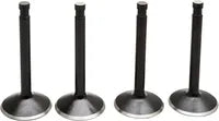 Harley Davidson FX Shovel [KIBBLEWHITE] – Black Diamond™ motorventilsett