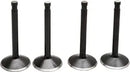 Harley Davidson FX Shovel [KIBBLEWHITE] – Black Diamond™ motorventilsett