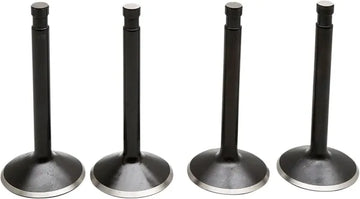Harley Davidson FX Shovel [KIBBLEWHITE] – Black Diamond™ motorventilsett