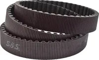 Buell S 3 T Thunderbolt 1200 [1996-1997] - Sekundärantriebsriemen – Bild 10