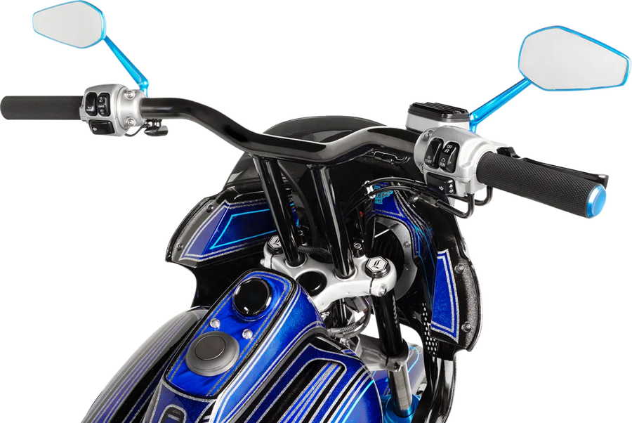 harley davidson sportster s 1250 [ARLEN NESS] – riflede grep