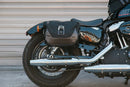Harley-Davidson XL 1200 CX Sportster Roadster [2020] - Legend Gear Seitentaschen-System LC Black Edition – Bild 5