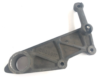 Triumph Tiger 955i 709en [2001] - Bremseankerplate bak - 0