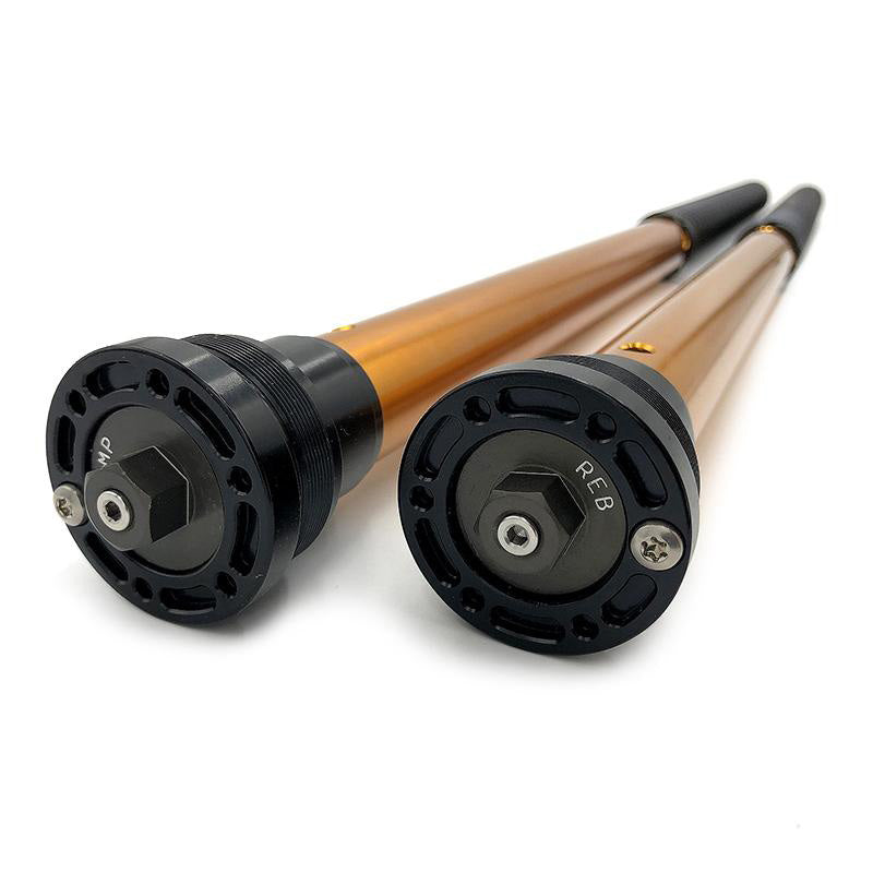 BMW F 450 GS [2026-] - Rally Race Cartridge ( + 20mm höhere Version)