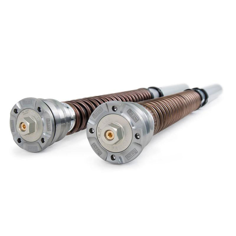 BMW R nineT 1200 Roadster [2014-2023] - Öhlins Gabelkartusche NIX 30 (2014-2016)