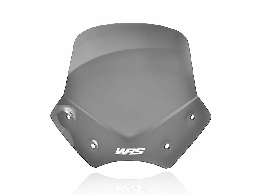 BMW R 1200 R [WRS] - frontrute