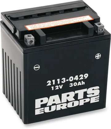 BMW R 100 CS [DELS EUROPA] – Deler Europa-batteri