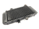 Yamaha XTZ 660 3YF [1992] - Radiator vannkjøler-2