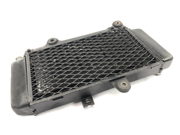 Yamaha XTZ 660 3YF [1992] - Radiator vannkjøler - 0