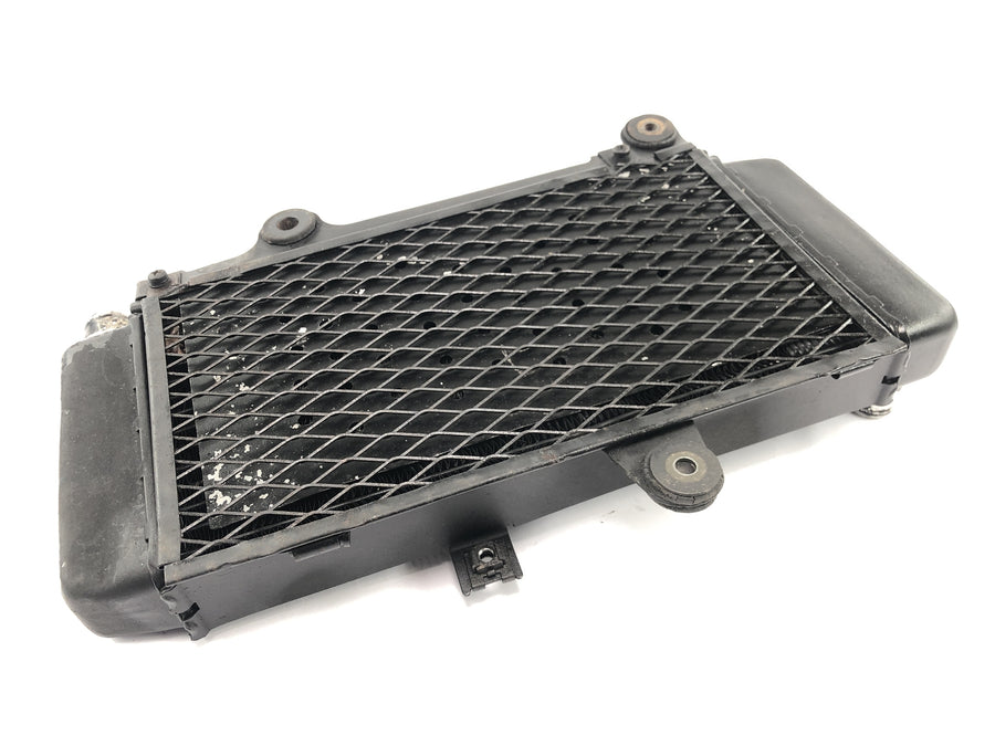 Yamaha XTZ 660 3YF [1992] - Radiator vannkjøler