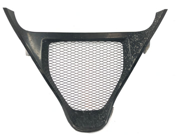 Suzuki GSX R 1000 WVBZ K3 [2003] - Luftgitter, radiatorgrill, frontgitter - 0