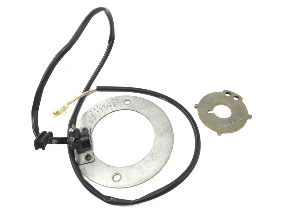 Yamaha XJR 1300 RP06 [2002] - Kontrollplate for pickup dynamo stator plate