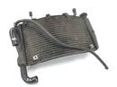 Ducati 999 H4 [2003] - kjølig vannkjøler radiator-6