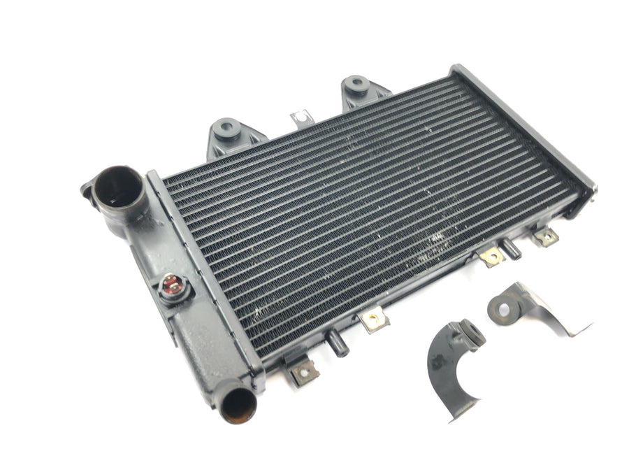 Triumph Daytona 1200 T300D [1994] - Radiator vannkjøler kjølesystem radiatornettverk