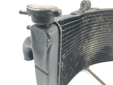Honda CBR 900 RR Fireblade SC33 [2000] - Radiator vannkjøler kjøler radiator - 0