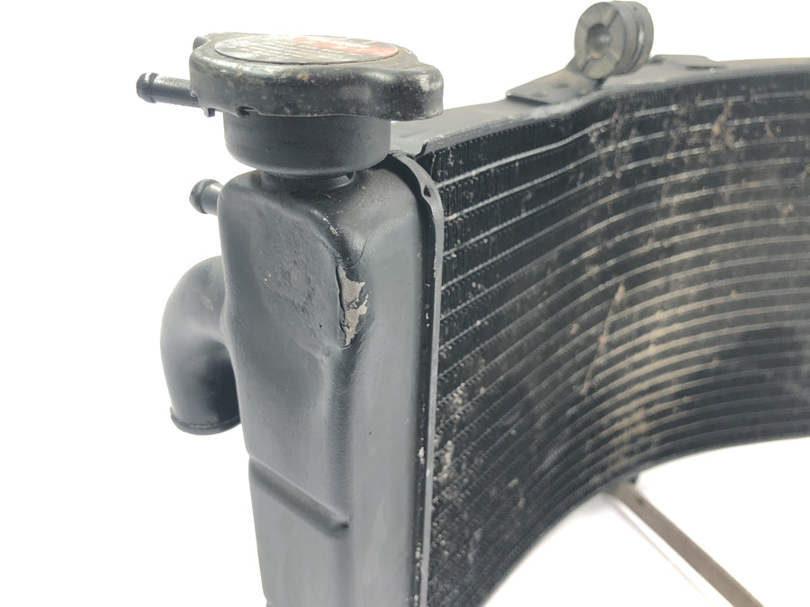 Honda CBR 900 RR Fireblade SC33 [2000] - Radiator vannkjøler kjøler radiator