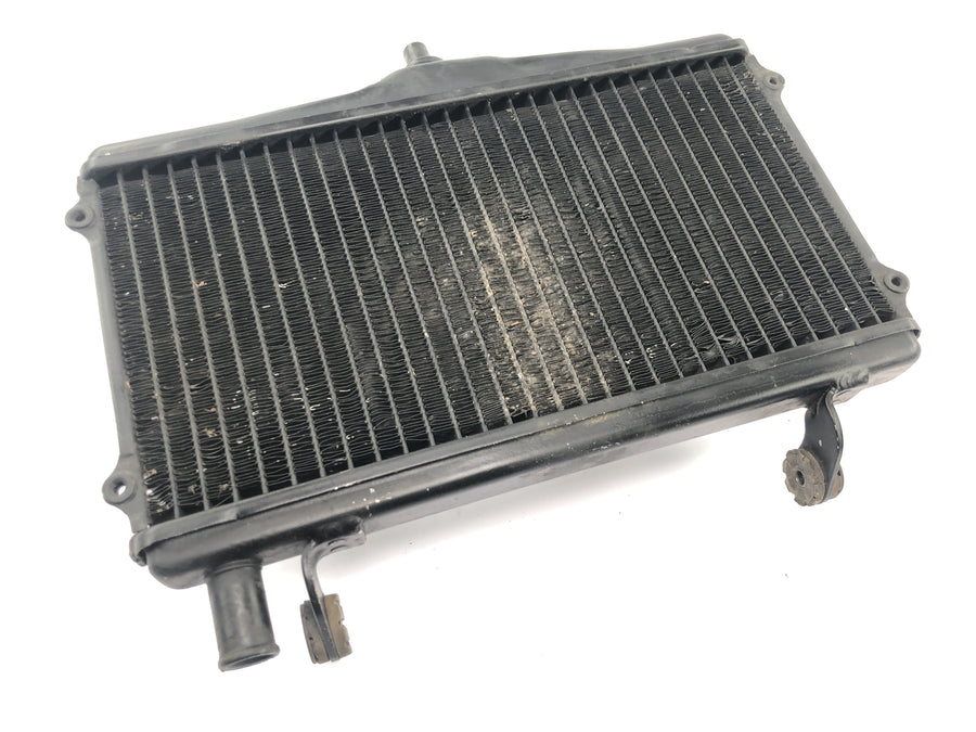 Honda NSR 125 JC20 [1991] - Radiator vannkjøler radiator nettverk kjøle radiator