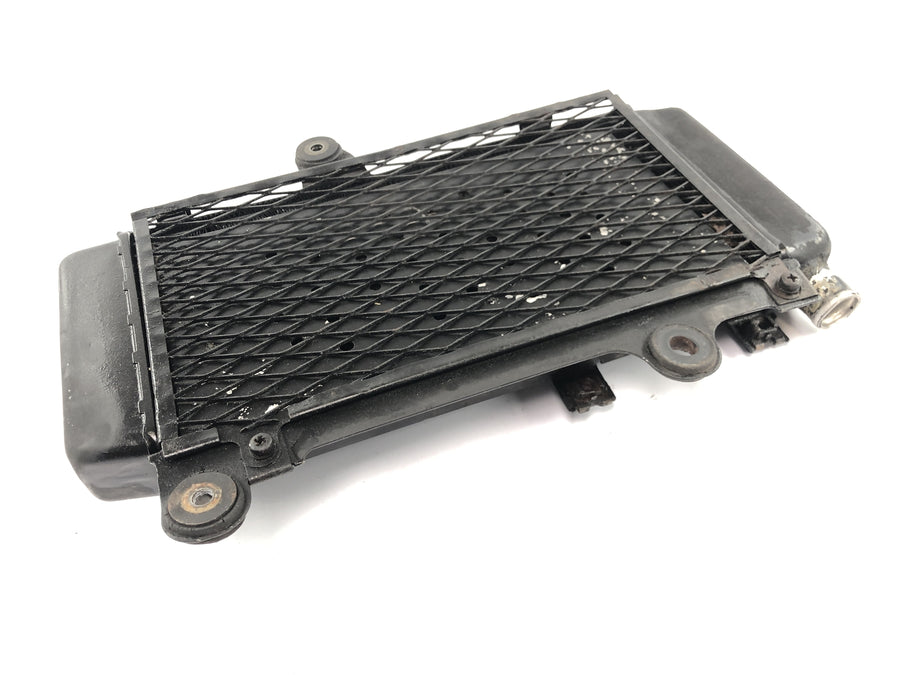 Yamaha XTZ 660 3YF [1992] - Radiator vannkjøler