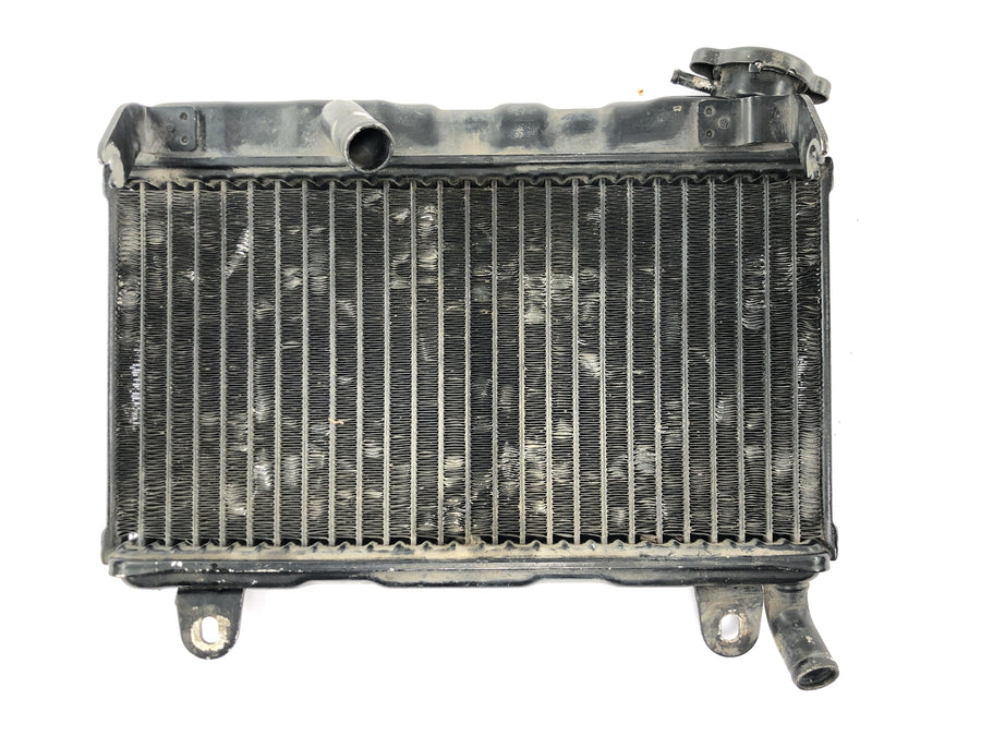 Suzuki RG 250 Gamma GJ21D [1987] - Radiator vannkjøler kjølesystem