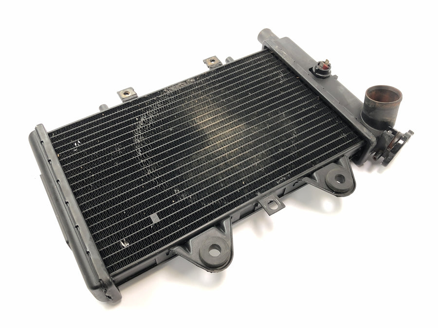 Triumph Daytona 900 T300 [1996] - Radiator vannkjøler
