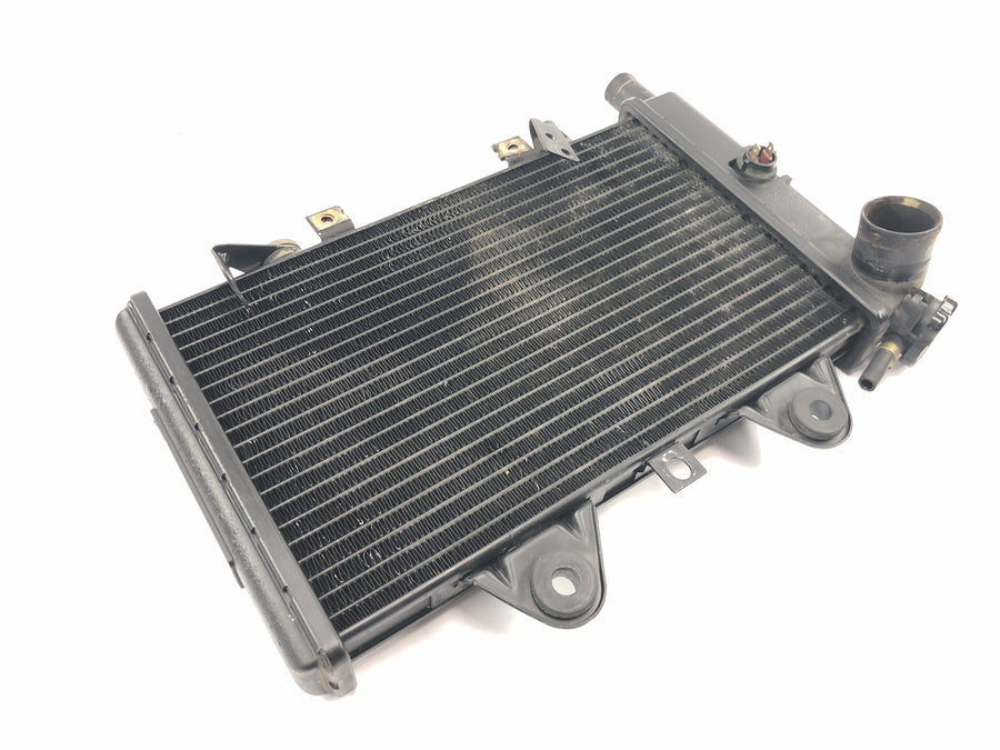 Triumph Daytona 900 T300D [1996] - Radiator vannkjøler kjølesystem