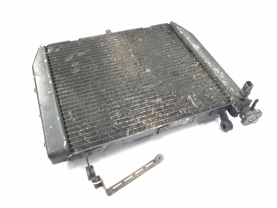 Yamaha YZF R1 RN04 [2001] - Radiator vannkjøler nettverk