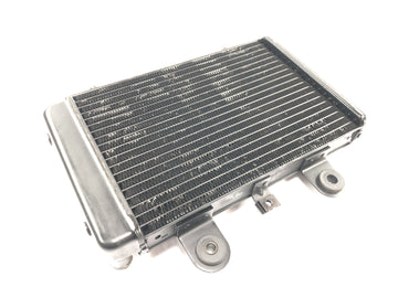 Triumph Adventurer 900 T309RT [1998] - Radiator vannkjøler radiator kjølesystem - 0
