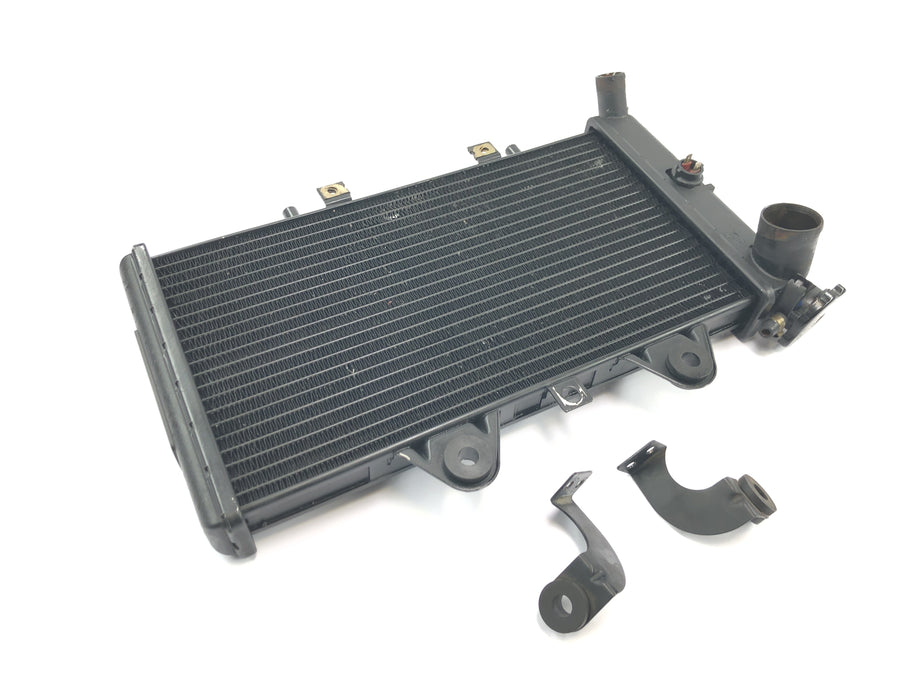 Triumph Daytona 1200 T300D [1994] - Radiator vannkjøler kjølesystem radiatornettverk