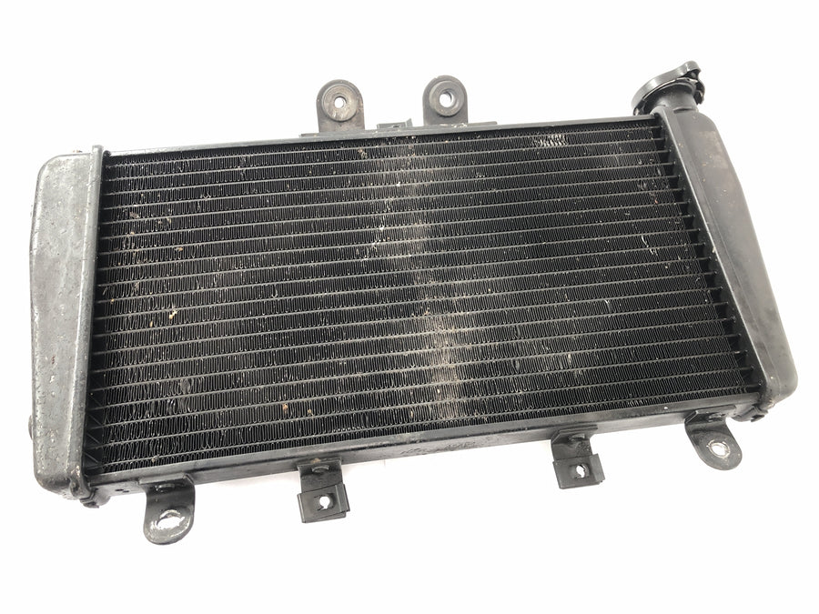 Triumph Speed Triple 1050 515NJ [2007] - Radiator Motorsykkel Radiator varmeveksler
