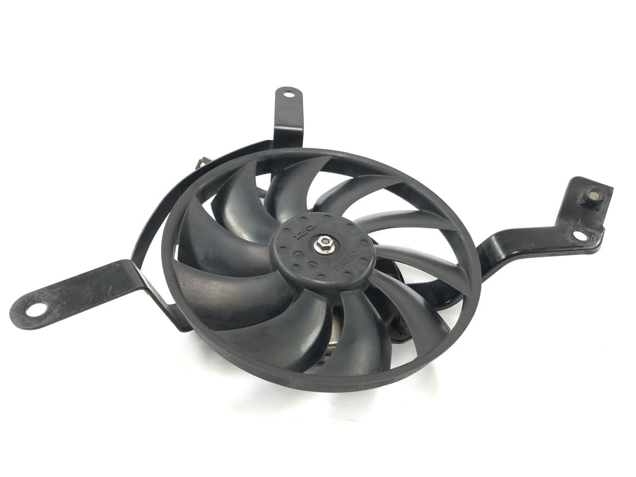 Triumph Street Triple R 675 D67LD [2010] - Kjølervifte motorvifter Fan Radiator Blower