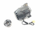 Triumph Daytona 900 T300 [1996] - Generator DC generator generator-5
