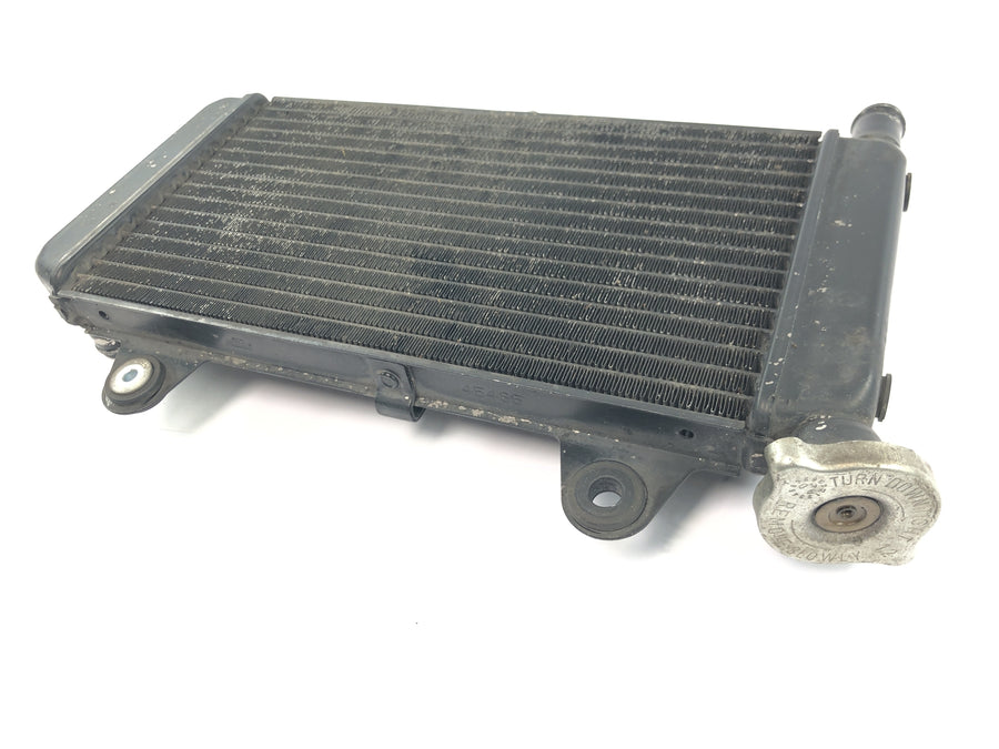 Yamaha MT 03 RM02 [2007] - Radiator vannkjøler motorkjøler kjølesystem radiator