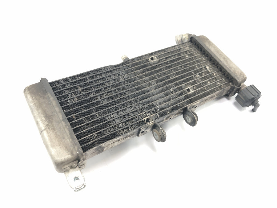 Aprilia RS 125 TW [2017] - Radiator vannkjøler kjølesystem radiatornettverk